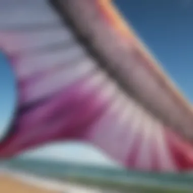 Close-up of the intricate design of an inflatable kite wing