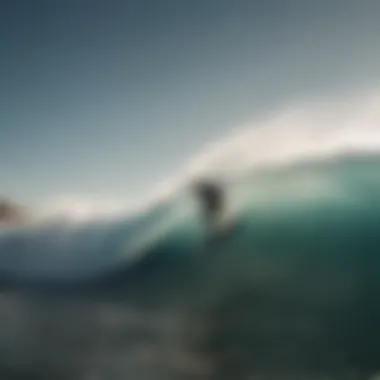 Intricate Tidal Currents in Laguna