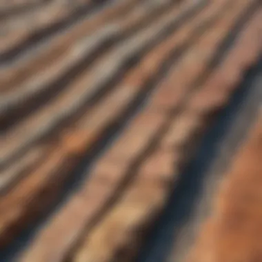 Close-up of intricate geological layers at Kettle Point