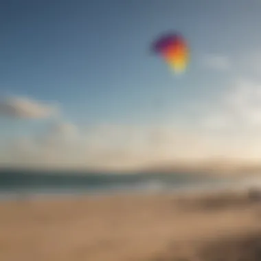 Colorful kites filling the sky