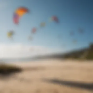 A variety of kites displayed outdoors