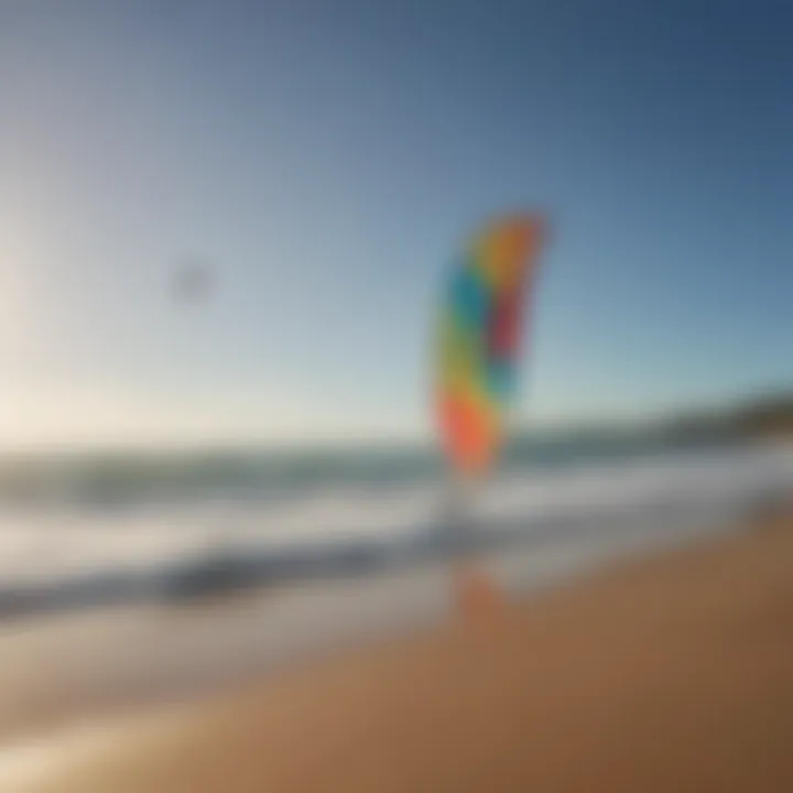 Kiteboarding kites in various sizes set against ocean backdrop