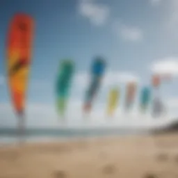 Variety of kiteboarding kites displayed on a beach