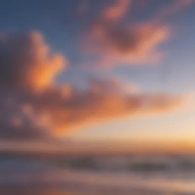 Kites against a vibrant sky