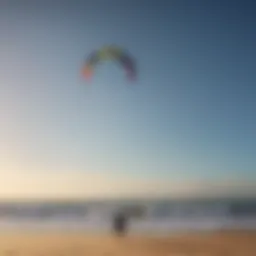 Dynamic kite in action