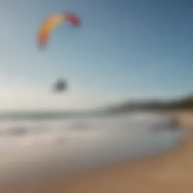 A variety of kitesurfing kites displayed on the beach