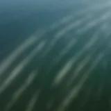 Aerial view of Lake Erie showcasing strong wind patterns