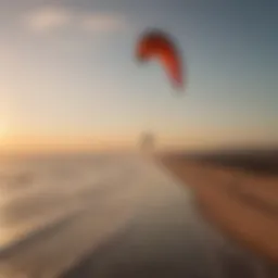 Majestic Kite Flying in Sunset