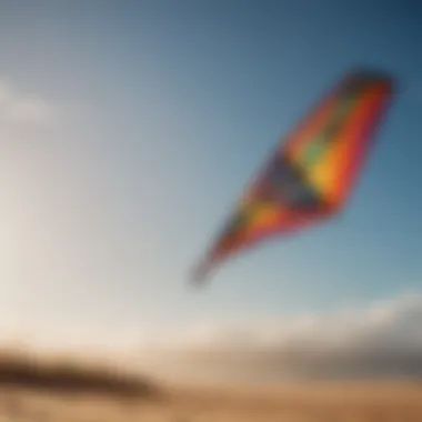 Majestic Kite Soaring in the Wind