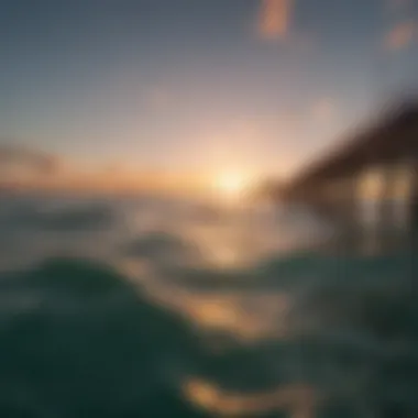 Diverse marine life at Lake Worth Pier