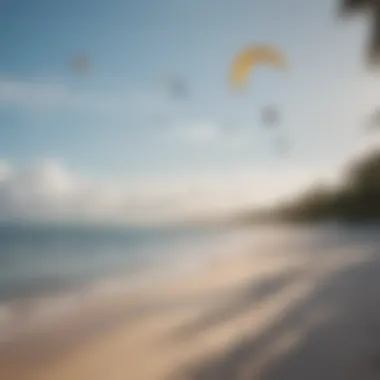 Palm-fringed shoreline of Diani Beach with kites in the background