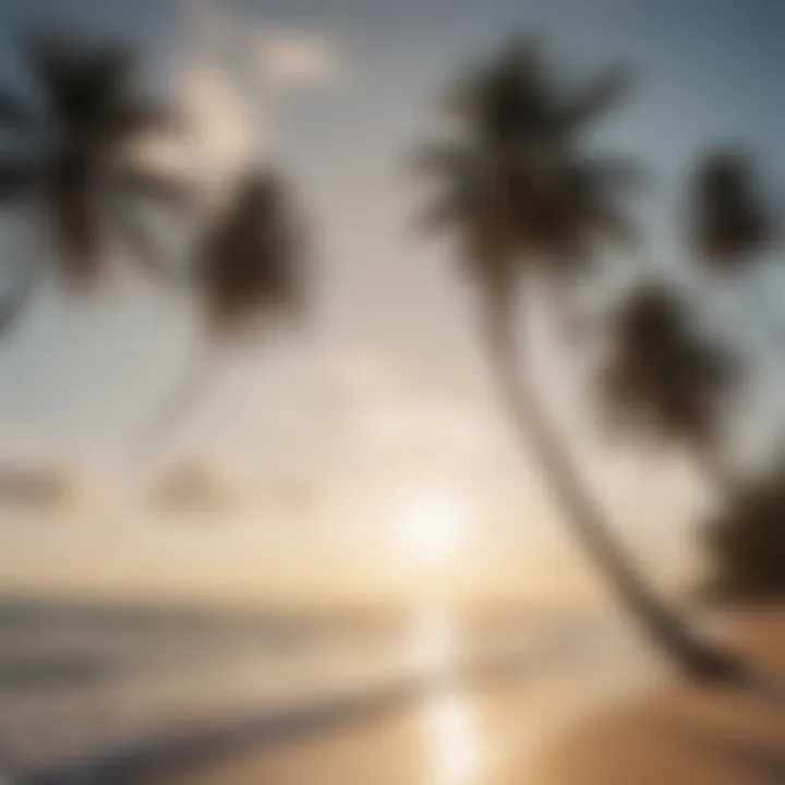 Palm trees swaying in the breeze at Coconut Bay Beach