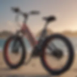 Electric Bike with Customized Accessories