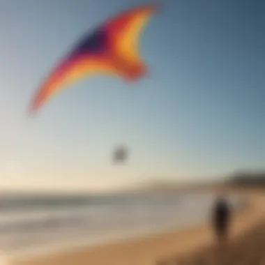 Pristine beach backdrop as the Phoenix Kite dances in the sky