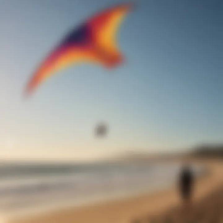 Pristine beach backdrop as the Phoenix Kite dances in the sky