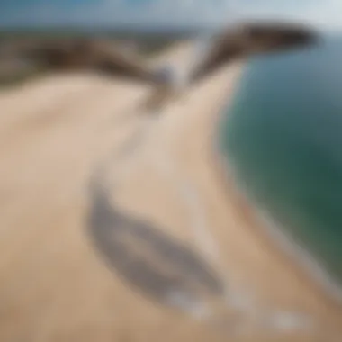 Aerial view of a pigtail kite soaring in the sky