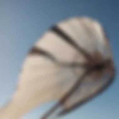 Close-up of intricate details of a pigtail kite's design