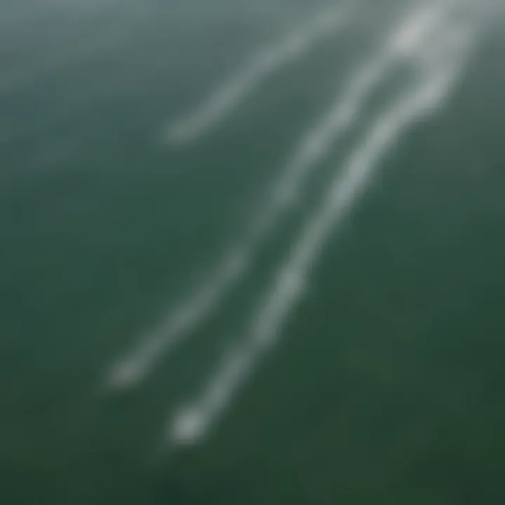 Aerial view of kitesurfers enjoying the waves