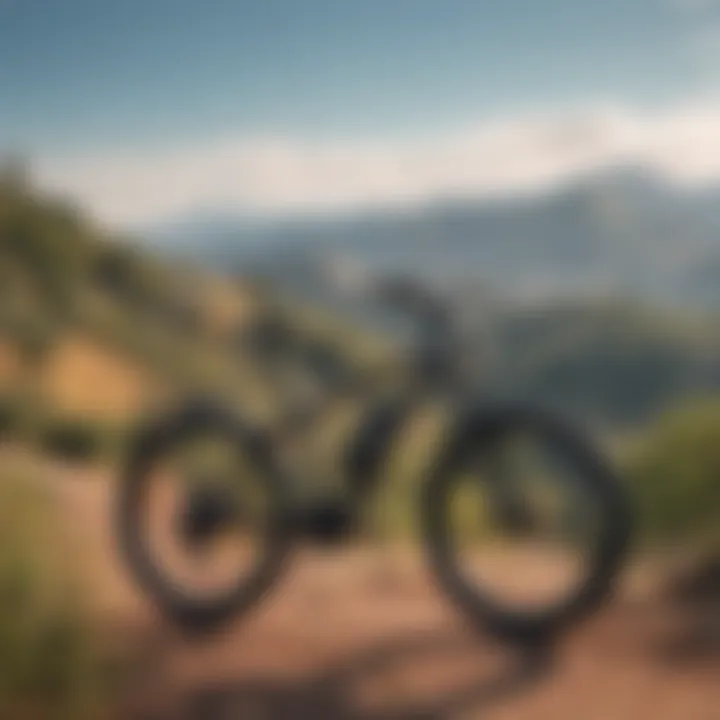 Powerful Pedego Ebike on Mountain Trail