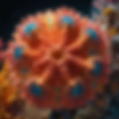 Molasses Reef's Prismatic Coral Kaleidoscope