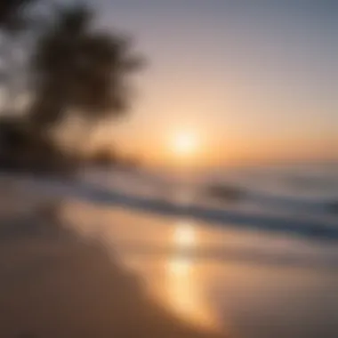 Pristine shorelines of Venice Beach, FL