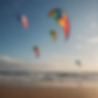 Different types of kites arranged on a surface