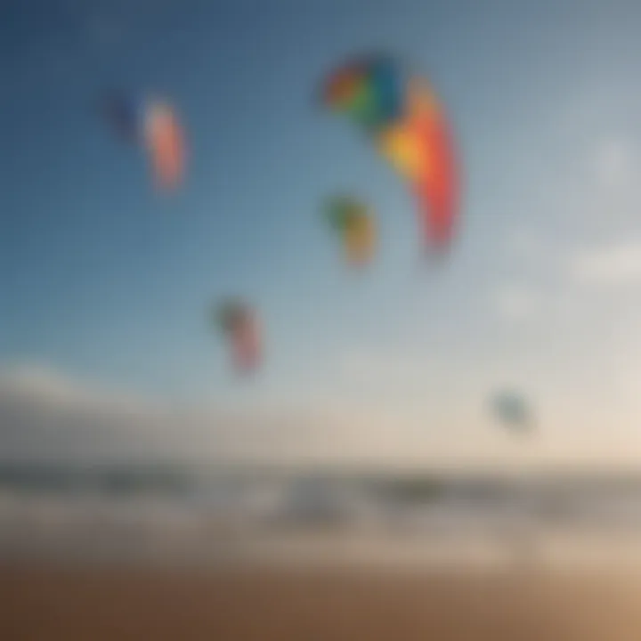 Different types of kites arranged on a surface