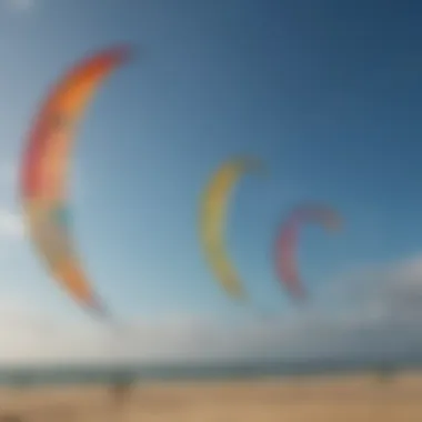 A variety of Reedin Kites displayed, highlighting different models suitable for various disciplines.