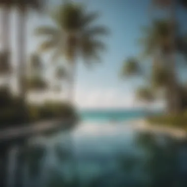 Refreshing infinity pool overlooking palm trees