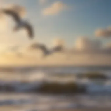 Seagulls soaring high in the invigorating beach winds of Cocoa Beach