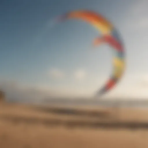 Diverse kites designed for high wind conditions displayed on a sandy beach