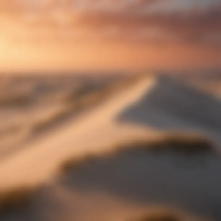 Serene Sunset over Texel's Dunes