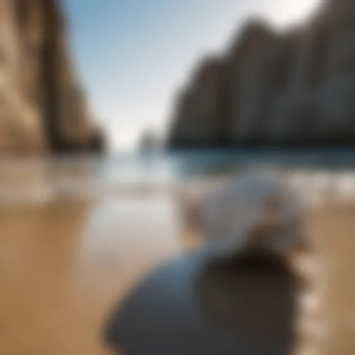 Rock formations at Shell Point Beach