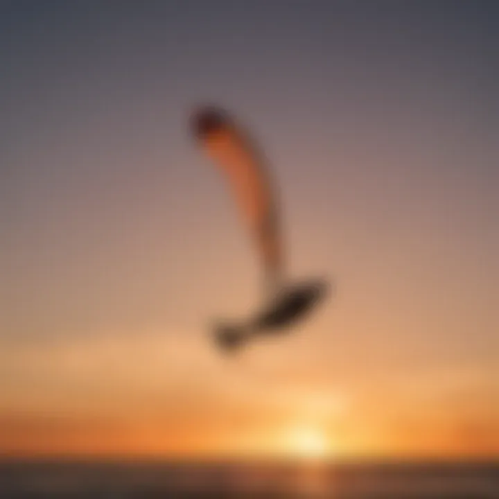 Silhouette of a kitesurfer against the setting sun in Sarasota