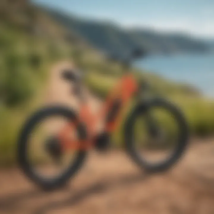 Sleek Pedego Ebike in Scenic Landscape