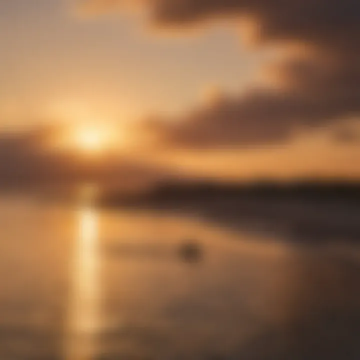 Sunset casting a golden hue over Willoughby Spit