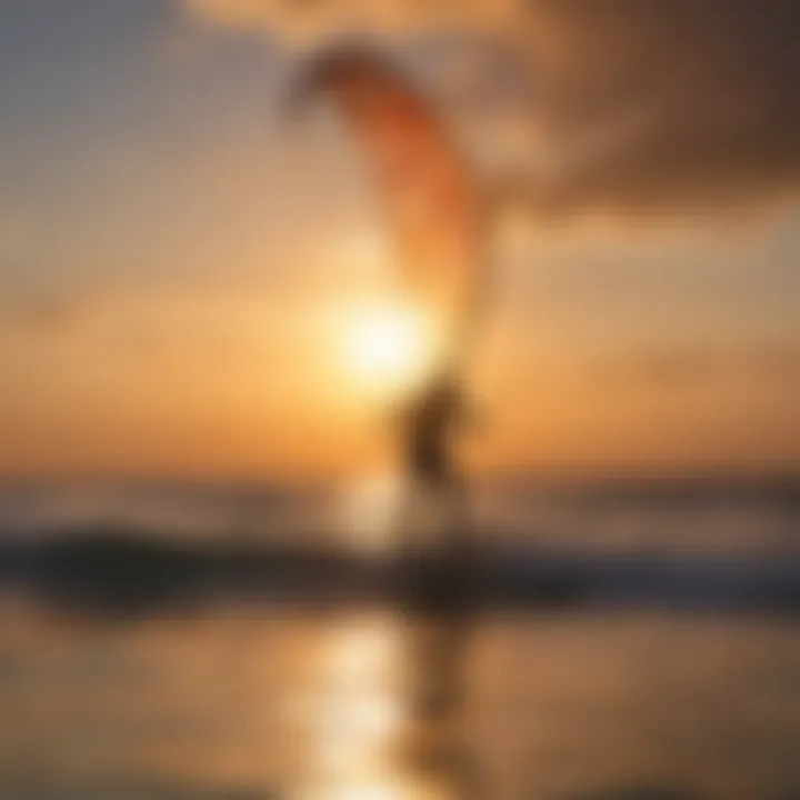 Sunset backdrop with a pigtail kite in action on the water