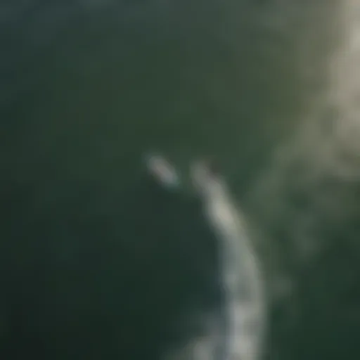 Aerial view of SUP skater cruising on calm waters