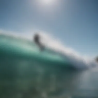 Natural Environment of Wave Riding Stunning waves in a tropical location