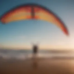 Close-up view of a high-quality training kite showcasing its design features