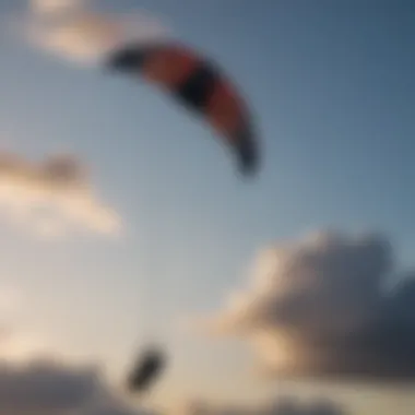 Elegant Kite Silhouette Against the Sky