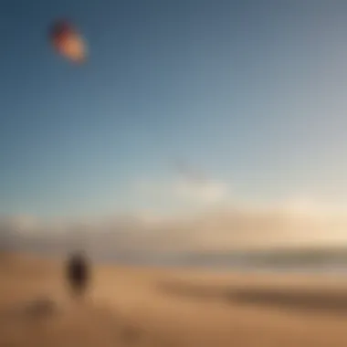 Powerful Kite Catching the Wind's Force