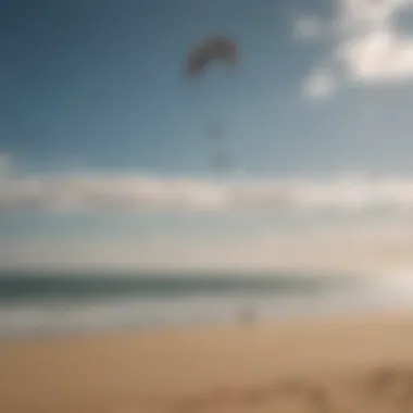 Sleek and Dynamic Kite on the Horizon