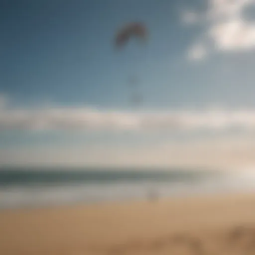 Sleek and Dynamic Kite on the Horizon