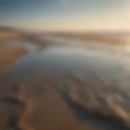 A serene view of Barnstable beach during low tide, showcasing exposed sands and tidal pools.