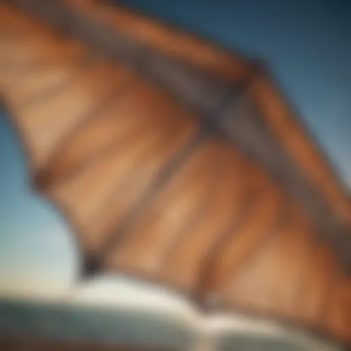 Detailed view of a foil kite showcasing its intricate design and structure.