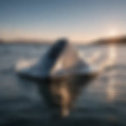 A close-up view of a hydro foil showcasing its sleek design and aerodynamic structure