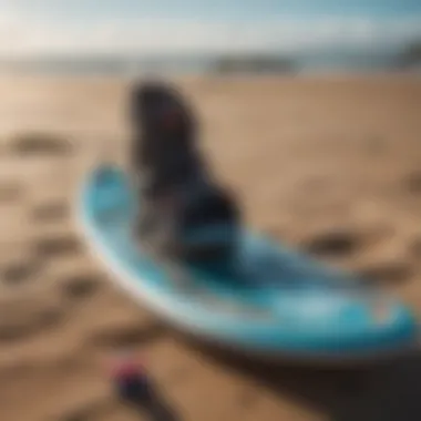 Close-up of mac kite boarding equipment laid out on the beach.