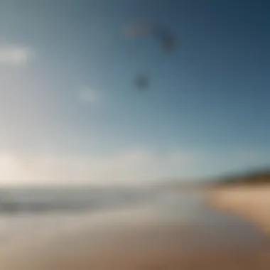 A scenic beach view showing wind patterns and kites in the air