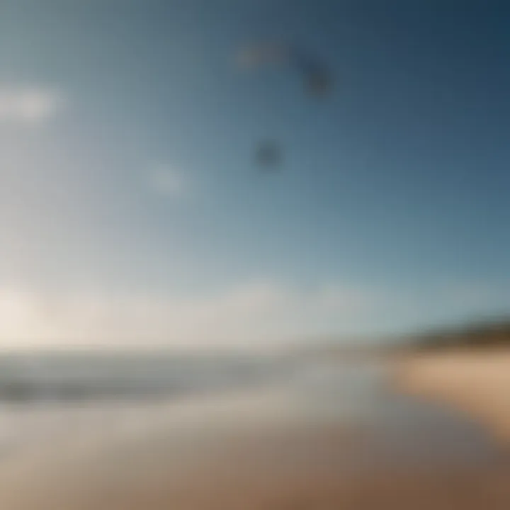 A scenic beach view showing wind patterns and kites in the air